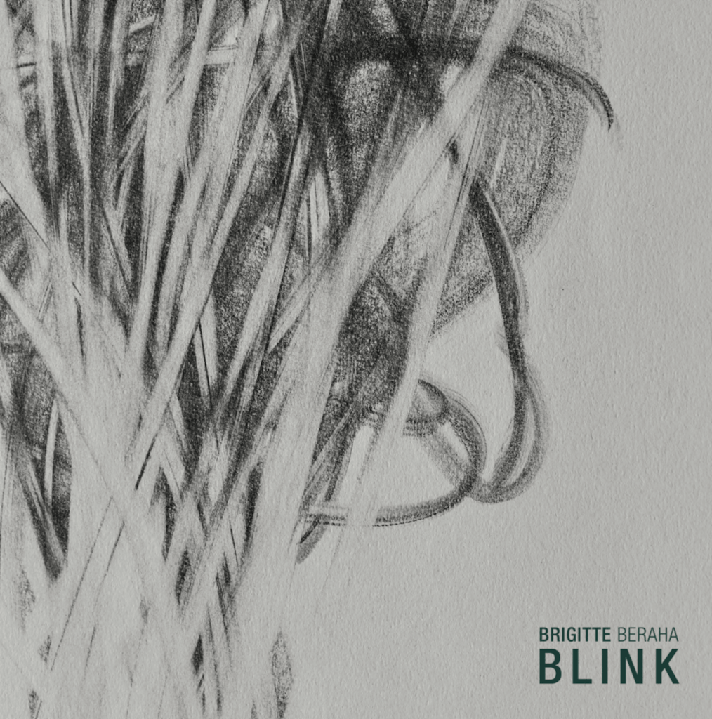 Blink album cover